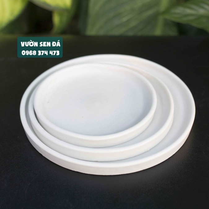 Đế lót chậu sứ tròn - Vườn sen đá