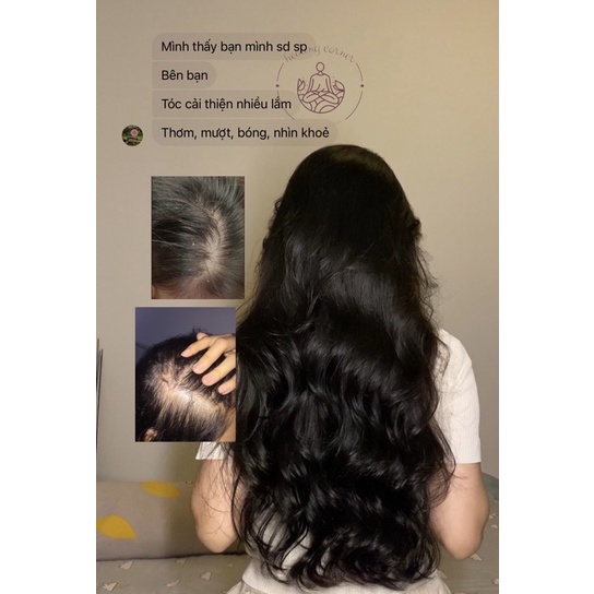 Oil dưỡng tóc chống khô, xơ rối - Healing Corner