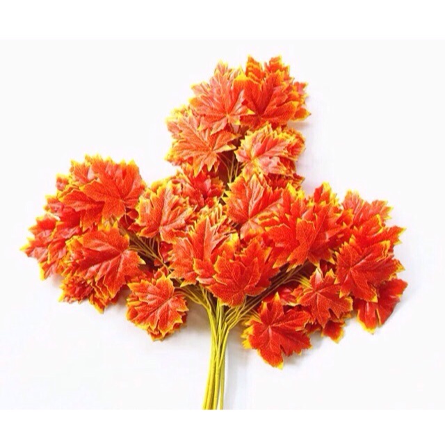 cành Lá phong bigsize loại 1