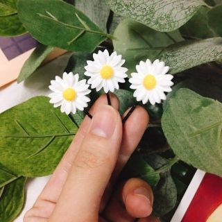 [ HOT TREND ] Kẹp tóc cúc họa mi xinh