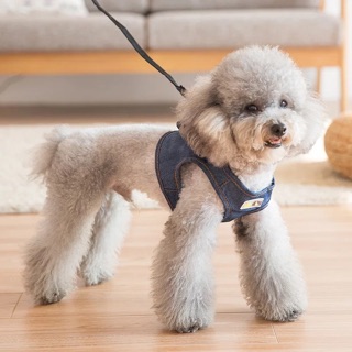 Áo yếm jean dây dắt DÀNH CHO CHÓ MÈO