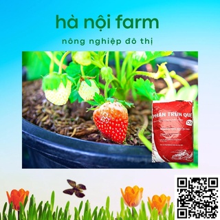 Phân trùn quế ( OSG ) - bao 10kg