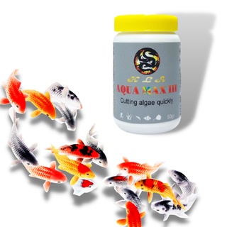 Men Diệt Tảo Hồ Cá AQUA MAX 3