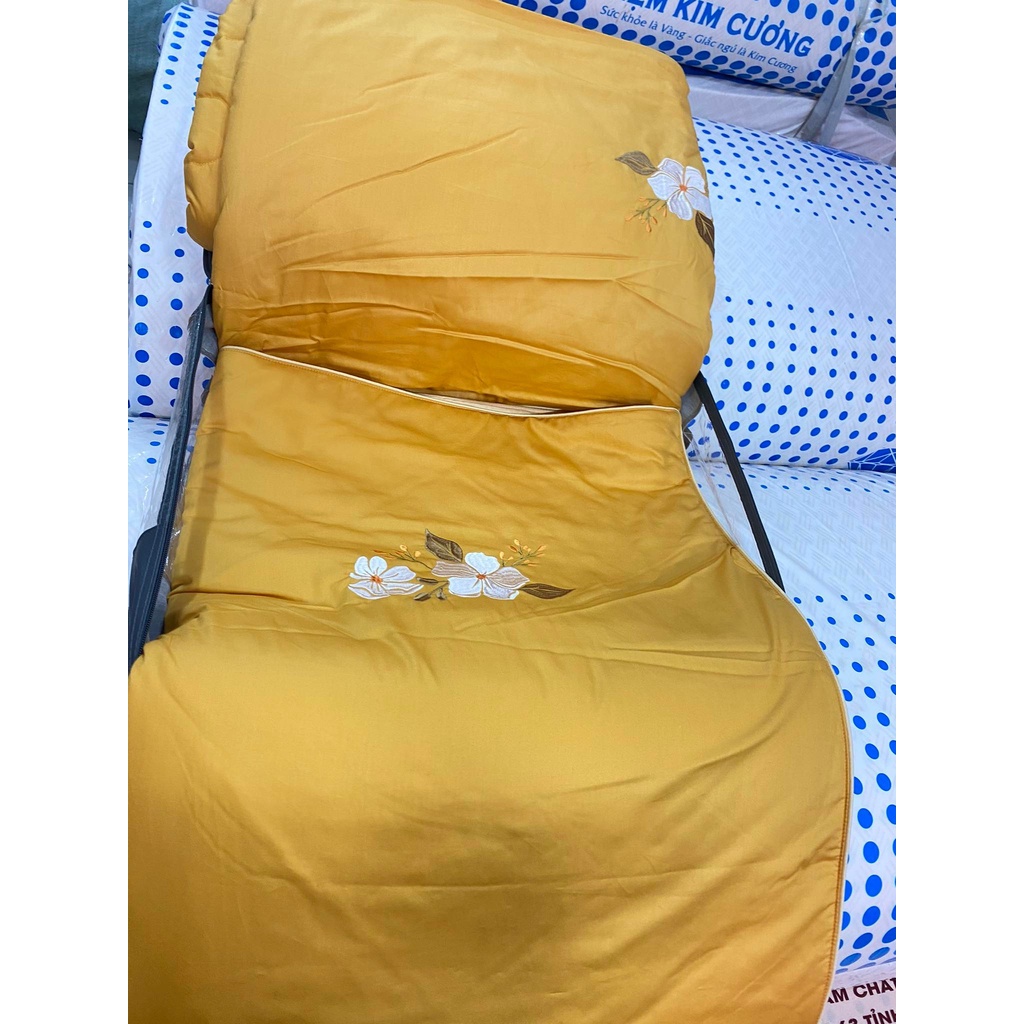 Bộ Drap chun chần EVERON MDSC100