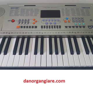 Đàn organ ym823