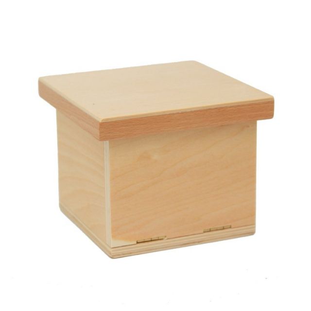 Hộp 1000 khối lập phương Montessori (Volume Box with 1000 Cubes)