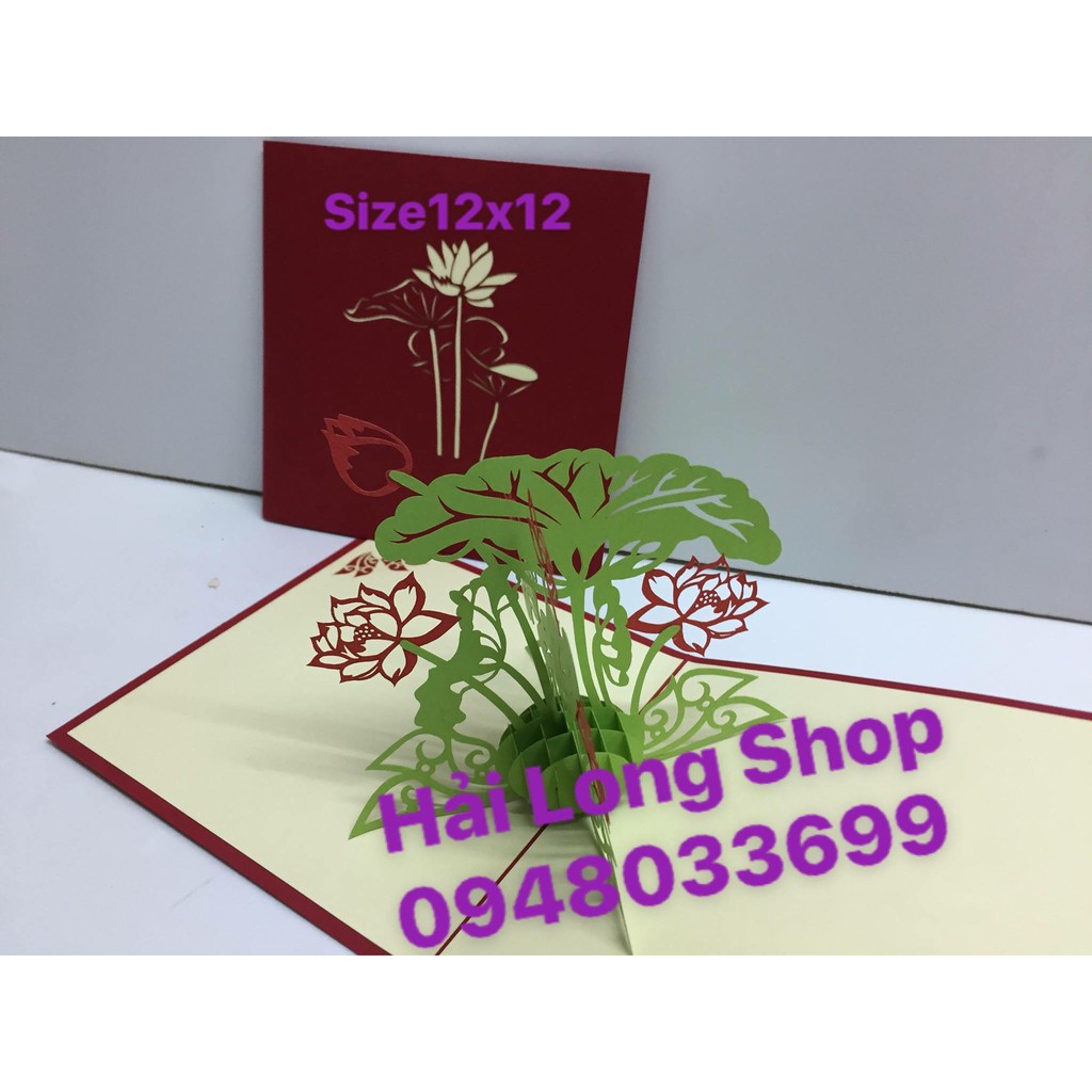 Hoa Sen ( VN )- Lotus - Flower  - Thiệp 3D | BigBuy360 - bigbuy360.vn