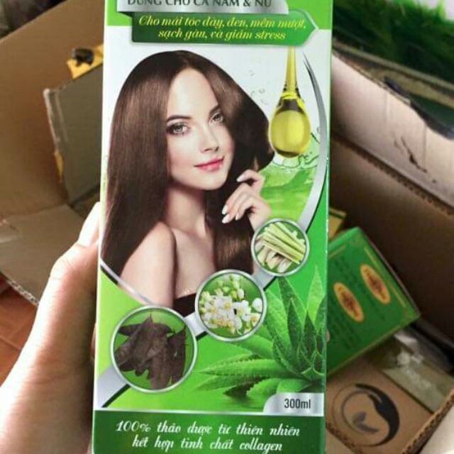 Dầu gội bồ kết sả chanh Việt Nhật - Hà Thủ ô (Hàng chuẩn)