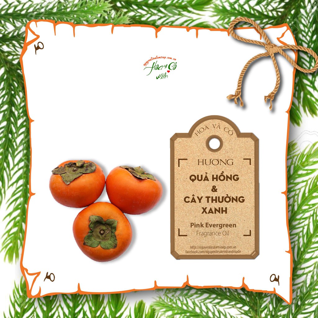 Hương Quả Hồng & Cây Thường Xanh ( Pink Evergreen Fragrance Oil )
