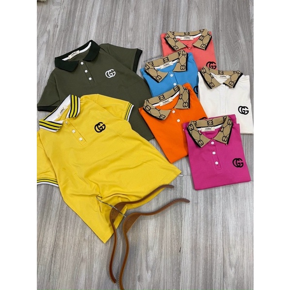 ÁO POLO CỔ PHỐI