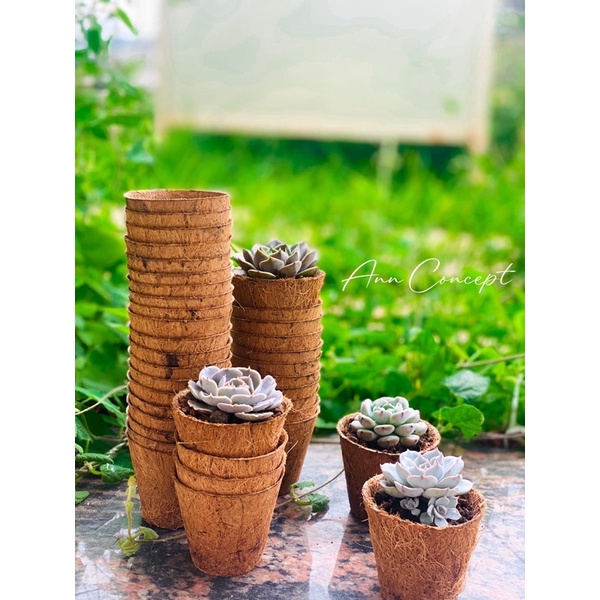 Combo 20 Chậu xơ dừa tròn mini ANN001 - Coir pot