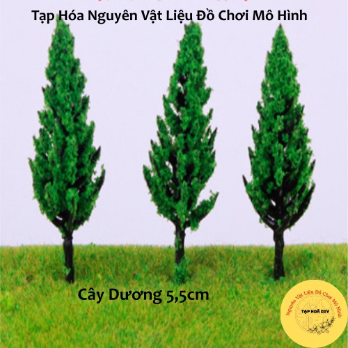 Mô Hình 5 Cây Dương , Cây Xanh Trang Trí Sa Bàn , Tiểu Cảnh , Mô Hình