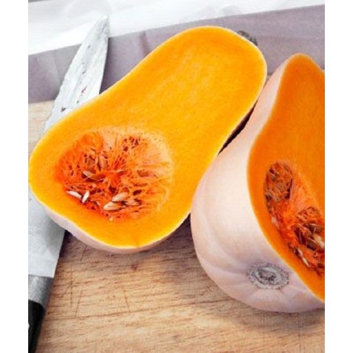 Hạt giống Bí ngô mật