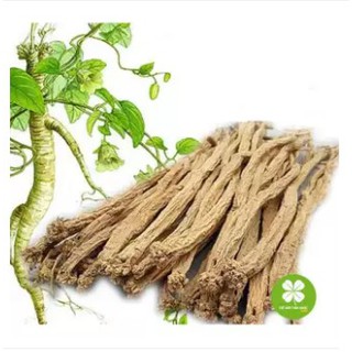 Đẳng Sâm (1Kg khô) - TtD082