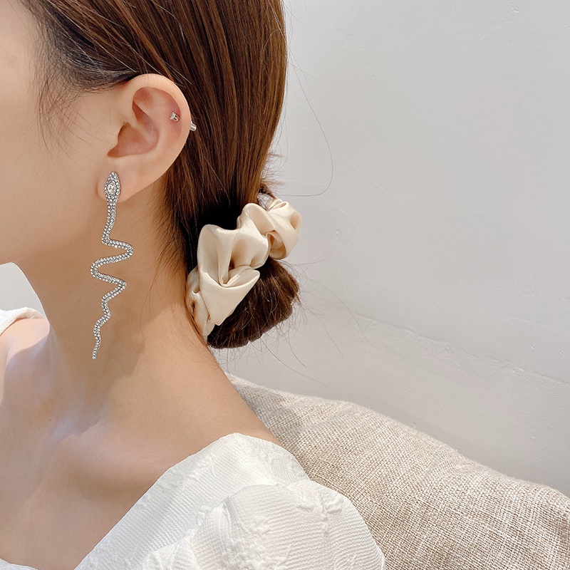 Khuyên Tai Dáng Dài Hình Rắn Phong Cách Punk Hàn Quốc 2022 Cho Nữ