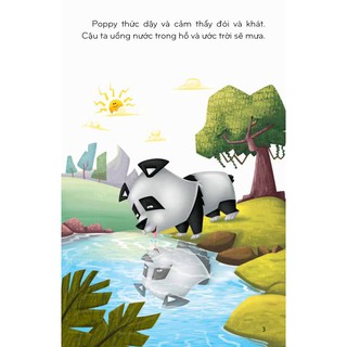 Sách - Gấu Trúc Và Chim Công