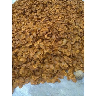 1 kg hạt giống cây xà cừ .
