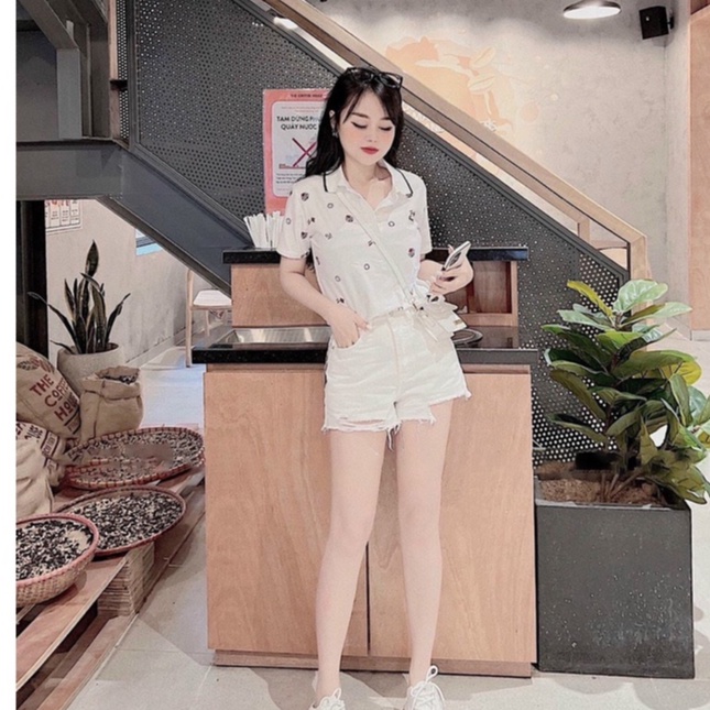Áo phông nữ -Áo polo có hình icon chất xịn đẹp  MIA1992 SHOP