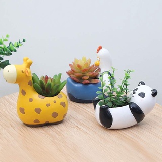 Chậu trồng sen đá Chậu thú