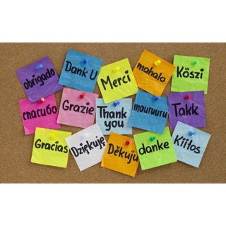 Combo đặt trước NhacuaMi