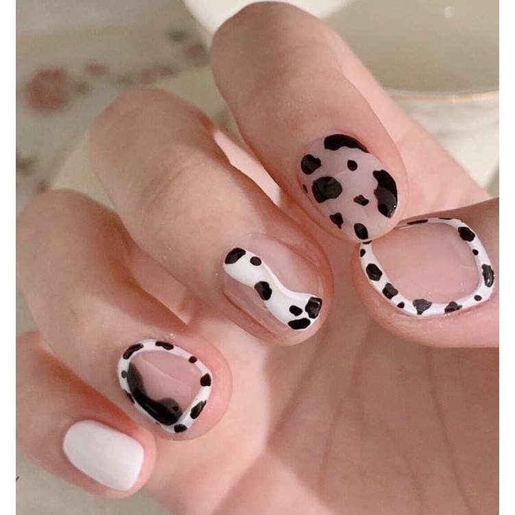 Nailbox thiết kế bò sữa nổi