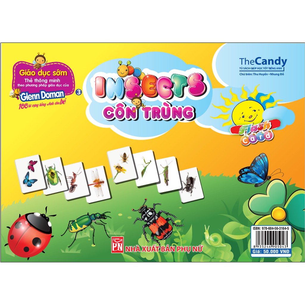 Flashcard - Thẻ Dạy Trẻ Theo Phương Pháp Glenn Doman - Côn Trùng (Insects)
