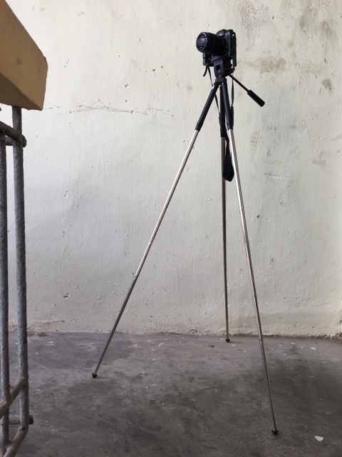 Tripod Minette Nhật bãi