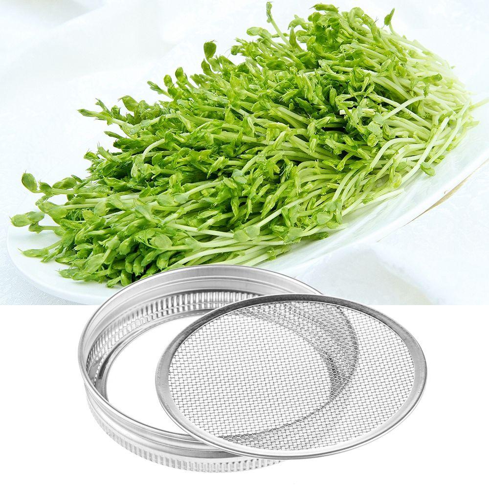 Nắp Lưới Bằng Thép Không Gỉ Cho Chậu Trồng Cây Mason Jar