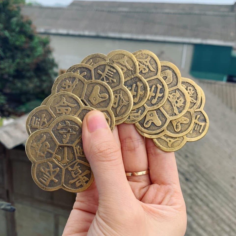 Hoa Mai Kim Tiền may mắn | BigBuy360 - bigbuy360.vn