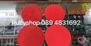 Set 10h nhung tròn đựng kiềng cổ