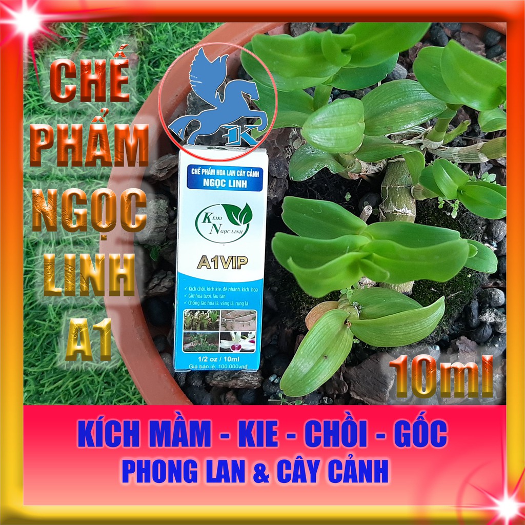 Chế Phẩm Ngọc Linh A1 VIP 10ml | Kích Mầm, Kie, Chồi, Gốc Hoa Lan Cây Cảnh