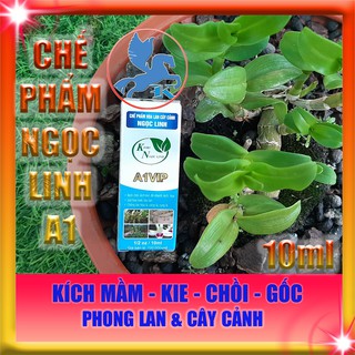 Chế phẩm ngọc linh a1 vip 10ml | kích mầm, kie, chồi, gốc hoa lan cây cảnh