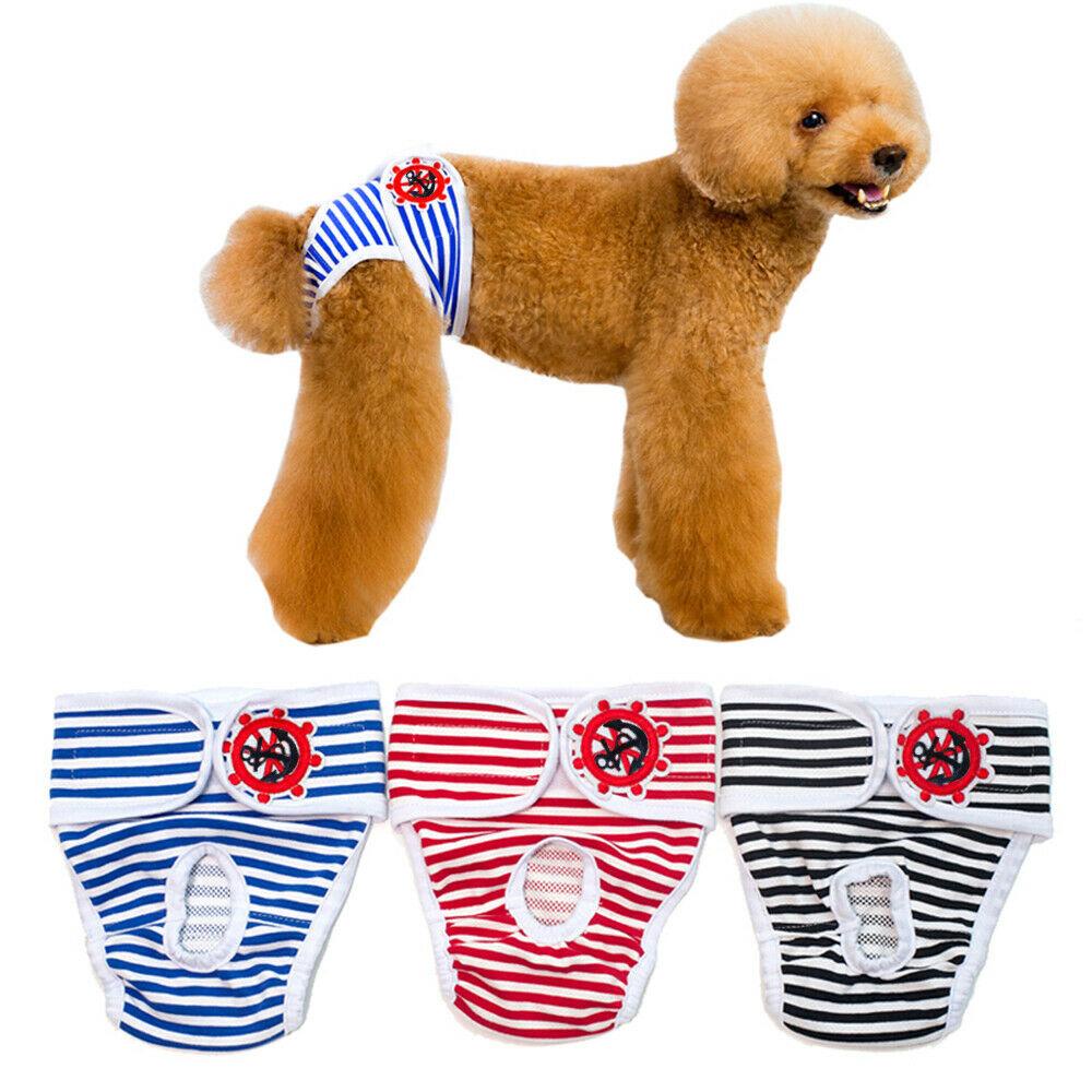 Quần Lót Sinh Lý Bằng Cotton Cho Cún Cưng