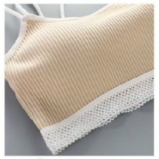 Áo Bra Cotton Gân ( Mã 301)