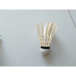 HỘP CẦU LÔNG 808