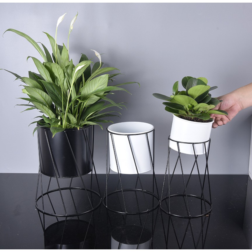 Chậu Trồng Cây Đã Bao Gốm Chân Kê Như Hình - Chậu Thiếc Trồng Cây Siêu Xinh