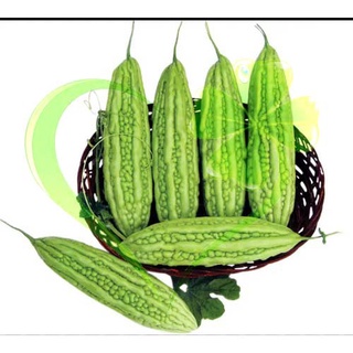 Hạt giống khổ qua mướp đắng NO.09 trái dài - gói 10 gram