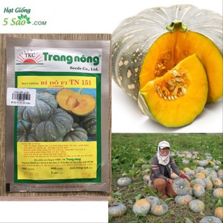 HẠT GIỐNG BÍ ĐỎ F1 TN 151 ( 20gr ) TRANG NÔNG
