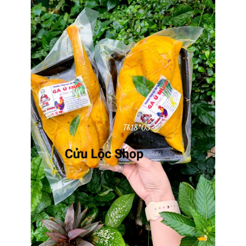 Gà Ủ Muối Hoa Tiêu nửa con/vỉ - thịt giòn dai thơm ngon (Giao hỏa tốc Tp.HCM 40p-2h) | BigBuy360 - bigbuy360.vn