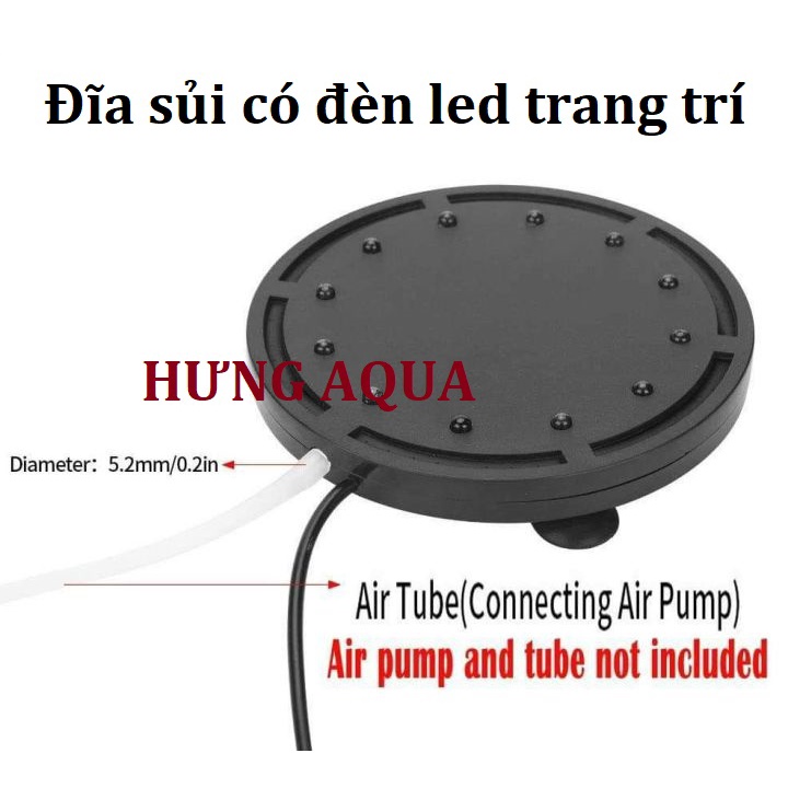 ĐĨA SỦI KÈM ĐÈN LED Q9, Q12, đĩa sủi kèm đèn trang trí bể cá