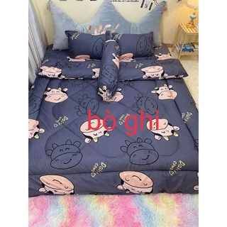 Bộ chăn phao ga gối polycotton 5 món