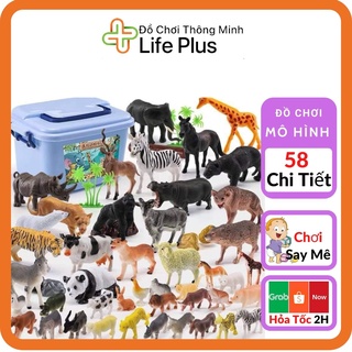 Đồ Chơi Cho Bé Mô Hình Động Vật, Thú Rừng Đẹp 58 Chi Tiết Siêu Thực - Có Hộp Đựng - Mã LP01ĐV - Life Plus