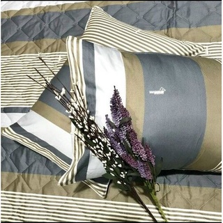 Drap giường ga giường cotton mẫu mới mát mềm mịn đẹp vượt thời gian - mẫu sọc - at home