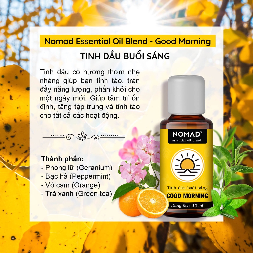 Tinh Dầu Hỗn Hợp Nomad Essential Oil Blend 10ml - Thư Giãn, Giấc Ngủ Sâu, Giảm Lo Âu, Khử Mùi