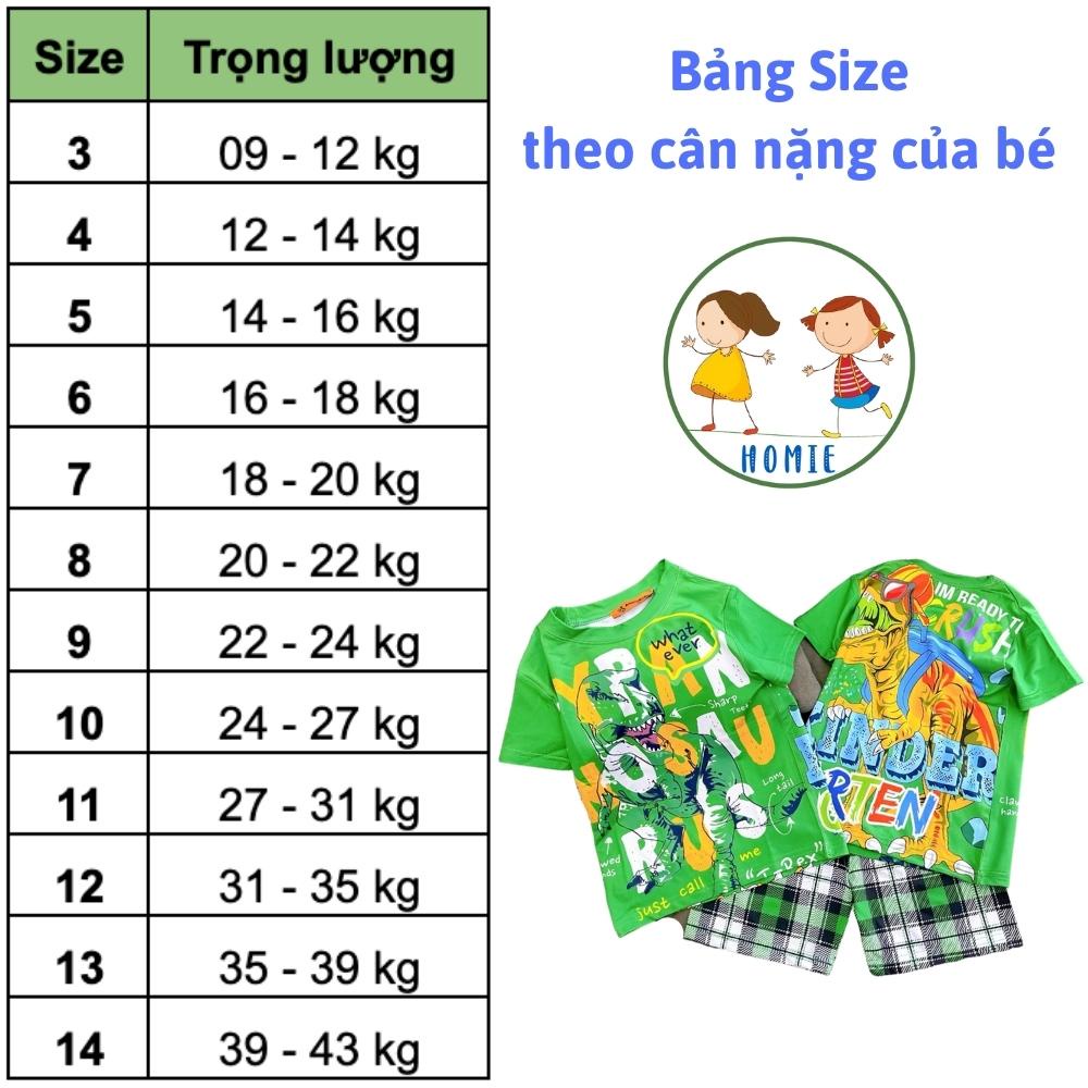 Quần Áo Bé Trai Set Đồ Bộ Thun Lạnh 3D Cho Trẻ Em Size Nhí Đại 9-43 Kg In Hoạt Hình Game Hot Trend Homie Kids