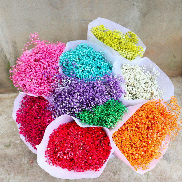 Hoa Baby Khô Trang Trí - Gypsophila Xanh Dương Bó 10Gr