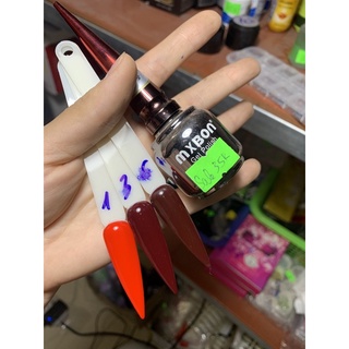 Sơn mixbon
