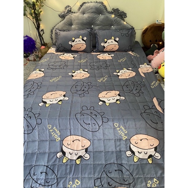 Bộ Chăn Hè 5 Món Trần Bông Cotton Poly cao cấp hàng loại 1