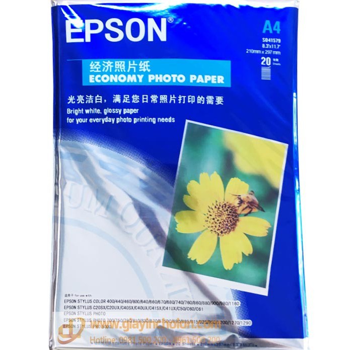 Bộ 9 tập Giấy in ảnh 1 mặt EPSON -A4 tặng 1 tập