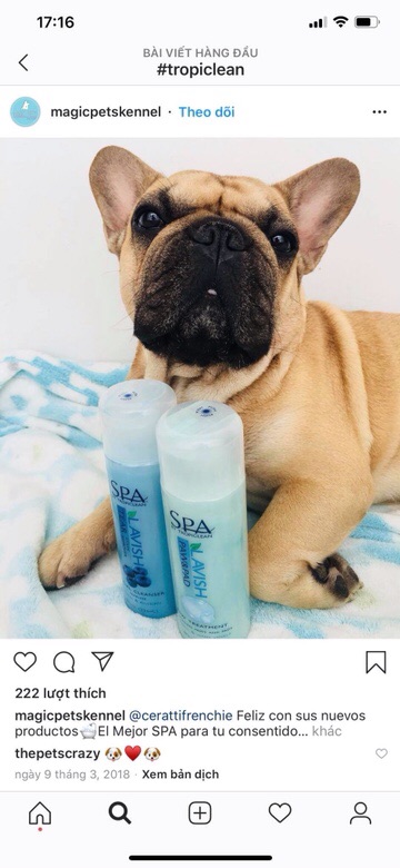 Rửa mặt trị ố cho chó mèo TropiClean